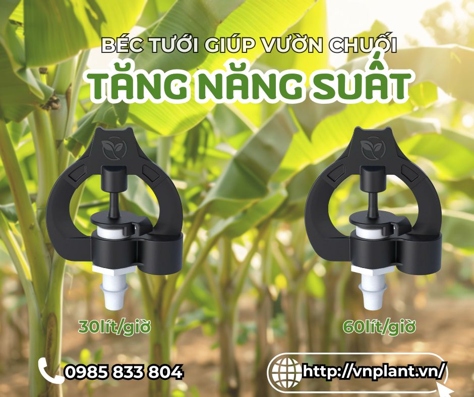 béc tưới dành cho vườn chuối